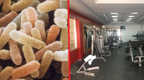 Kolonie bakterií ve fitness centrech